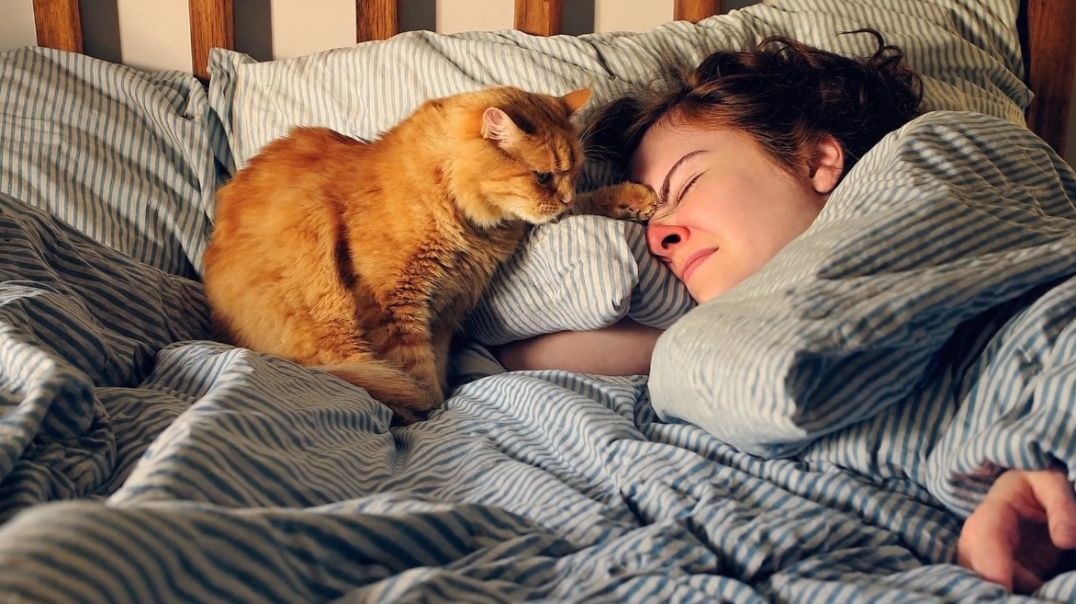 Open AI SORA - A cat waking up its sleeping owner demanding breakfast